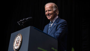 Much More than Congress is at Stake this Midterm