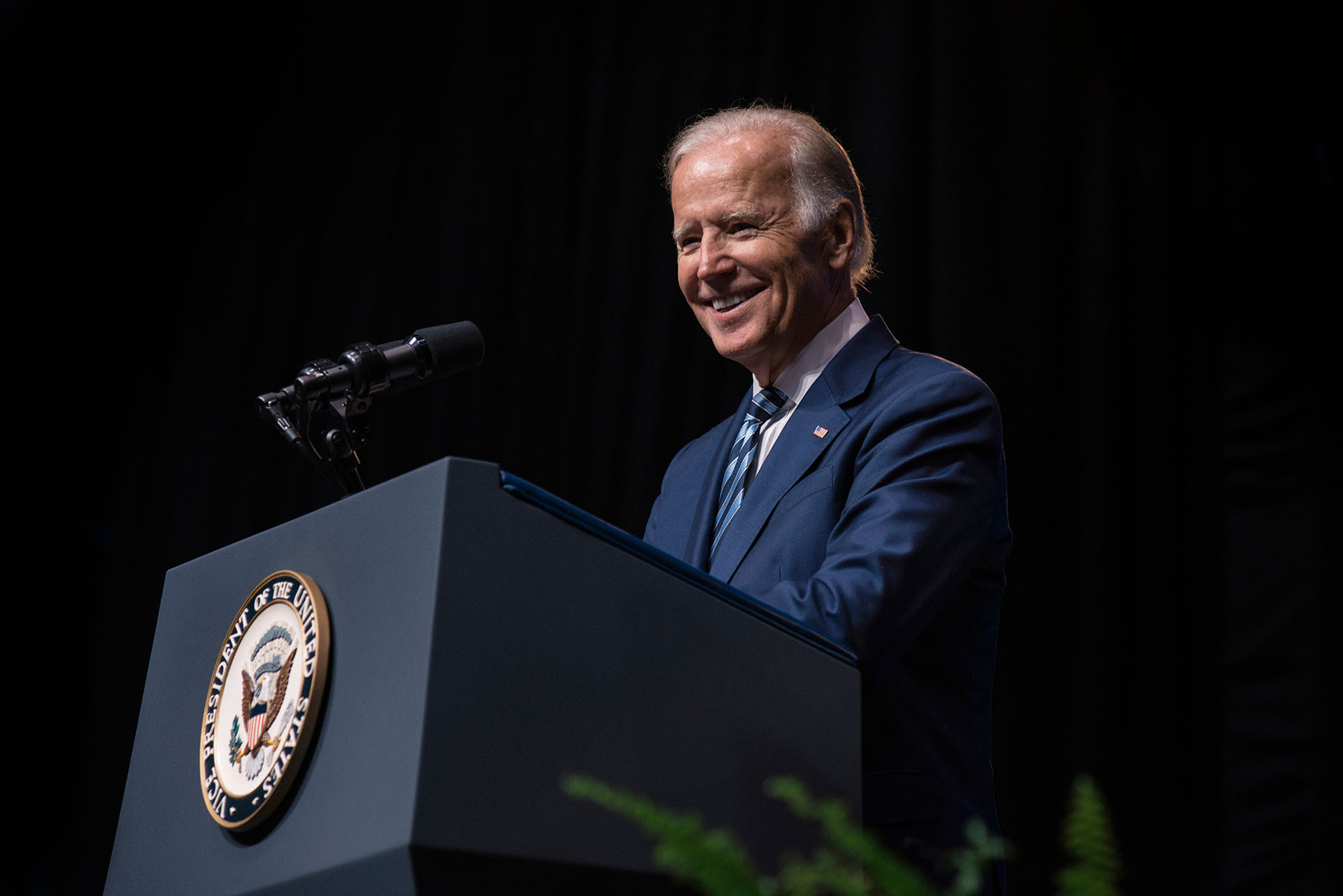 Much More than Congress is at Stake this Midterm